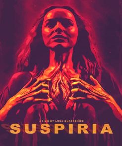 Suspiria Film Poster Paint By Numbers