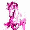 The Pink Horse Paint By Numbers