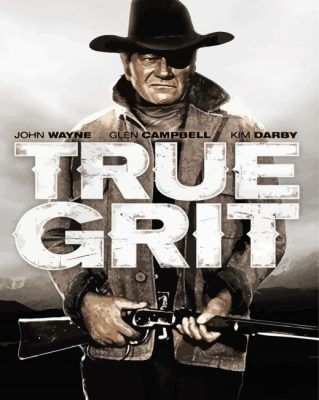 True Grit Poster Paint By Numbers