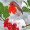 Aeshetic Winter Robin Paint By Numbers