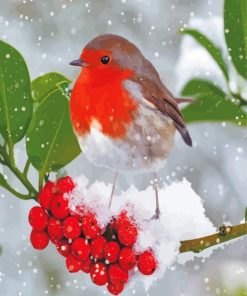 Aeshetic Winter Robin Paint By Numbers