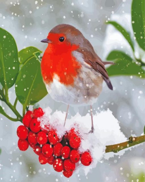 Aeshetic Winter Robin Paint By Numbers