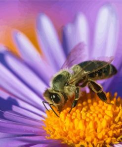 Aesthetic Bee On Purple Flower Paint By Numbers