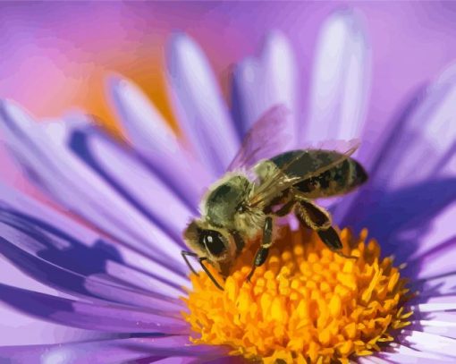 Aesthetic Bee On Purple Flower Paint By Numbers