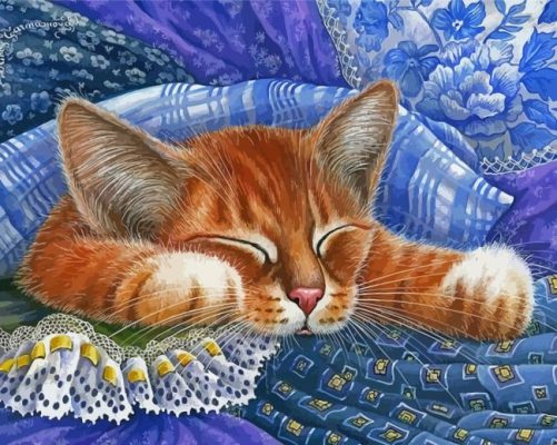 Aesthetic Cat Bed Art Paint By Numbers