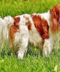 Aesthetic King Spaniel Paint By Numbers