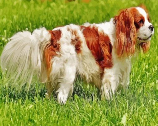 Aesthetic King Spaniel Paint By Numbers