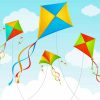 Aesthetic Kites Illustration Paint By Numbers