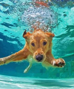 Aesthetic Labrador Swimming Paint By Numbers