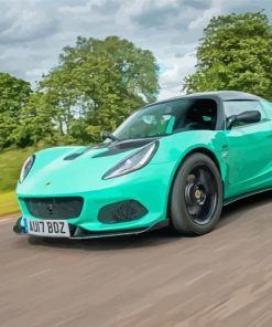 Aesthetic Lotus Elise Paint By Numbers