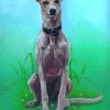 Aesthetic Lurcher Dog Paint By Numbers