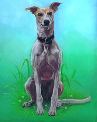 Aesthetic Lurcher Dog Paint By Numbers