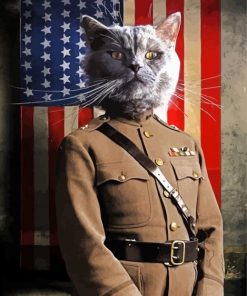 Aesthetic Military Cat Art Paint By Numbers