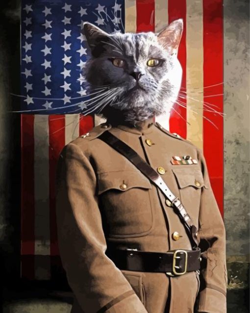 Aesthetic Military Cat Art Paint By Numbers