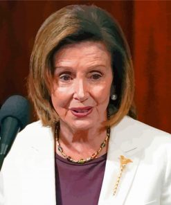 Aesthetic Nancy Pelosi Paint By Numbers