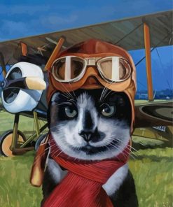 Aesthetic Pilot Cat Paint By Numbers