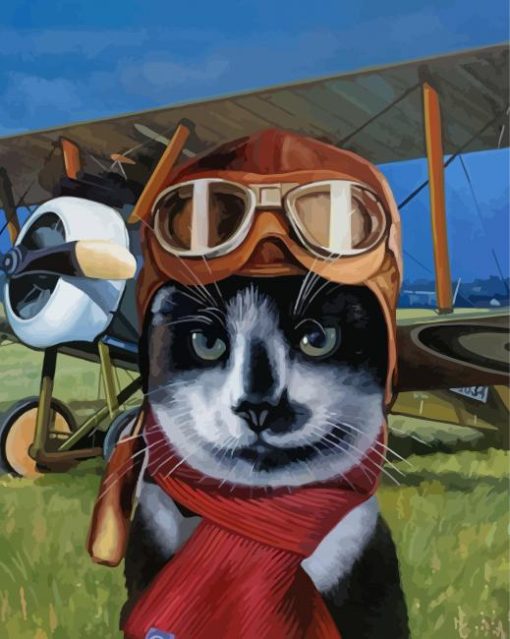 Aesthetic Pilot Cat Paint By Numbers