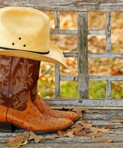 Aesthetic Cowboy Hat And Boots Paint By Numbers