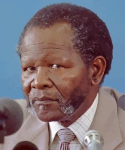 Aesthetic Oliver Tambo Paint By Numbers