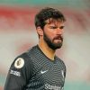 Alisson Goalkeeper Paint By Numbers