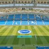 Amex Brighton Stadium Paint By Numbers