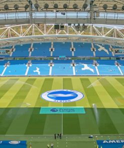 Amex Brighton Stadium Paint By Numbers