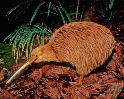 Big Kiwi Bird Paint By Numbers