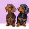 Black And Brown Couple Mini Dachshund Paint By Numbers