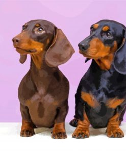 Black And Brown Couple Mini Dachshund Paint By Numbers