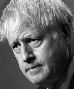 Black And White Johnson Boris Paint By Numbers