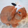 Brown Rabbit With Hat Paint By Numbers