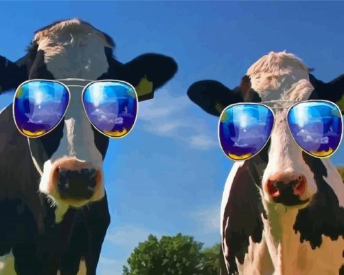 Funny Cows Paint By Numbers