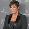 Kris Jenner Paint By Numbers