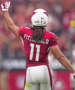 Larry Fitzgerald Player Back Paint By Numbers