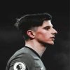 Mason Mount Side Profile Paint By Numbers