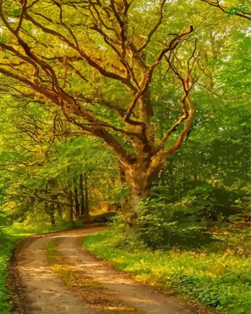 Path In Old Woods Paint By Numbers