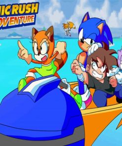 Sonic Rush Adventure Game Paint By Numbers