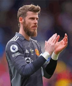 The Goal Goalkeeper David De Gea Quintana Paint By Numbers