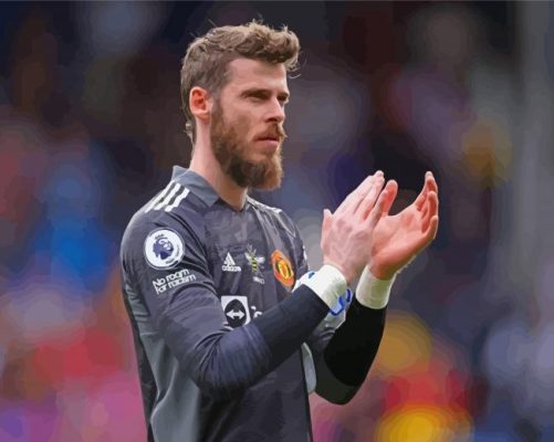 The Goal Goalkeeper David De Gea Quintana Paint By Numbers