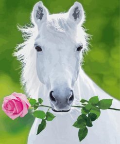 White Horse With Rose Paint By Numbers