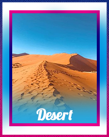 Deserts