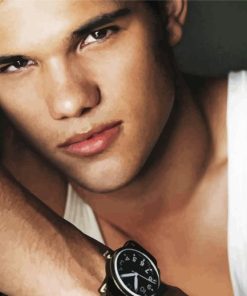 Taylor Lautner Paint By Numbers