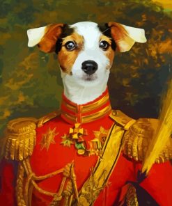 Admiral Dog Paint By Numbers