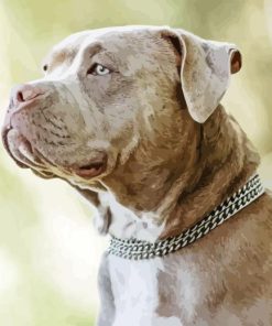 Bully Dog Paint By Numbers