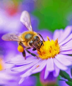 Bee On Flower Paint By Numbers