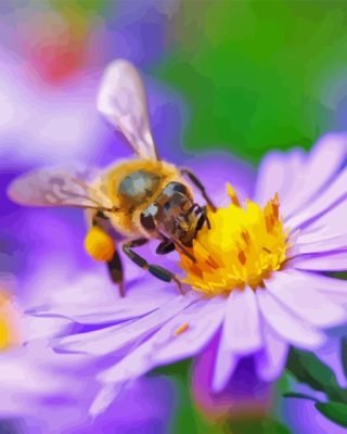 Bee On Flower Paint By Numbers