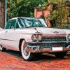 Classic Cadillac Paint By Numbers