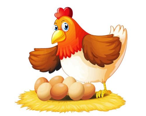 Cartoon Chicken Paint By Numbers