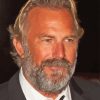 Kevin Costner Paint By Numbers