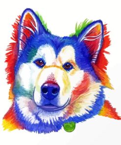 Alaskan Malamute Paint By Numbers